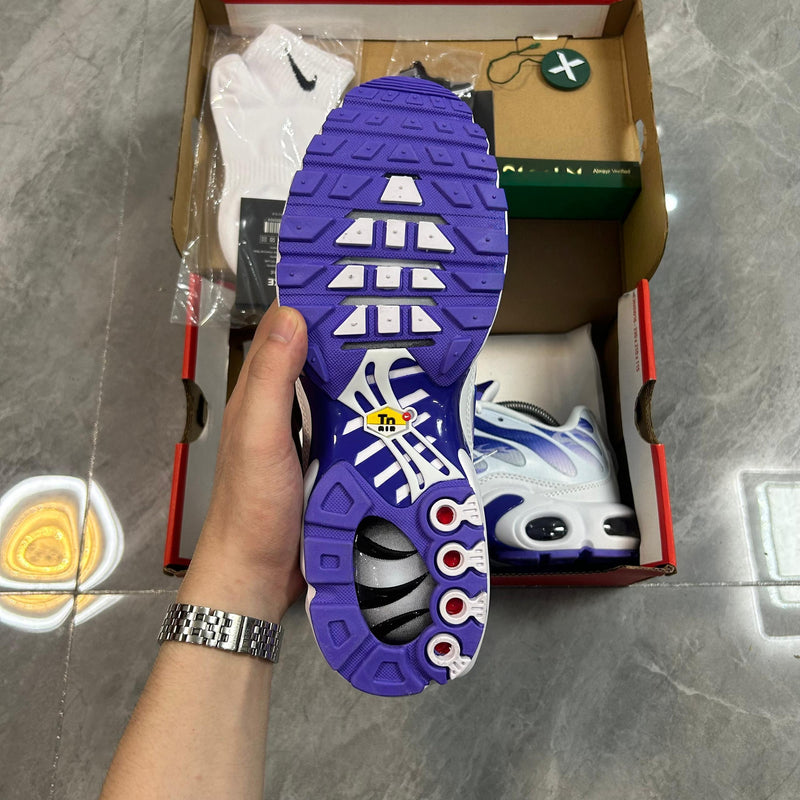 Air Max TN Plus "Purple Dragon"